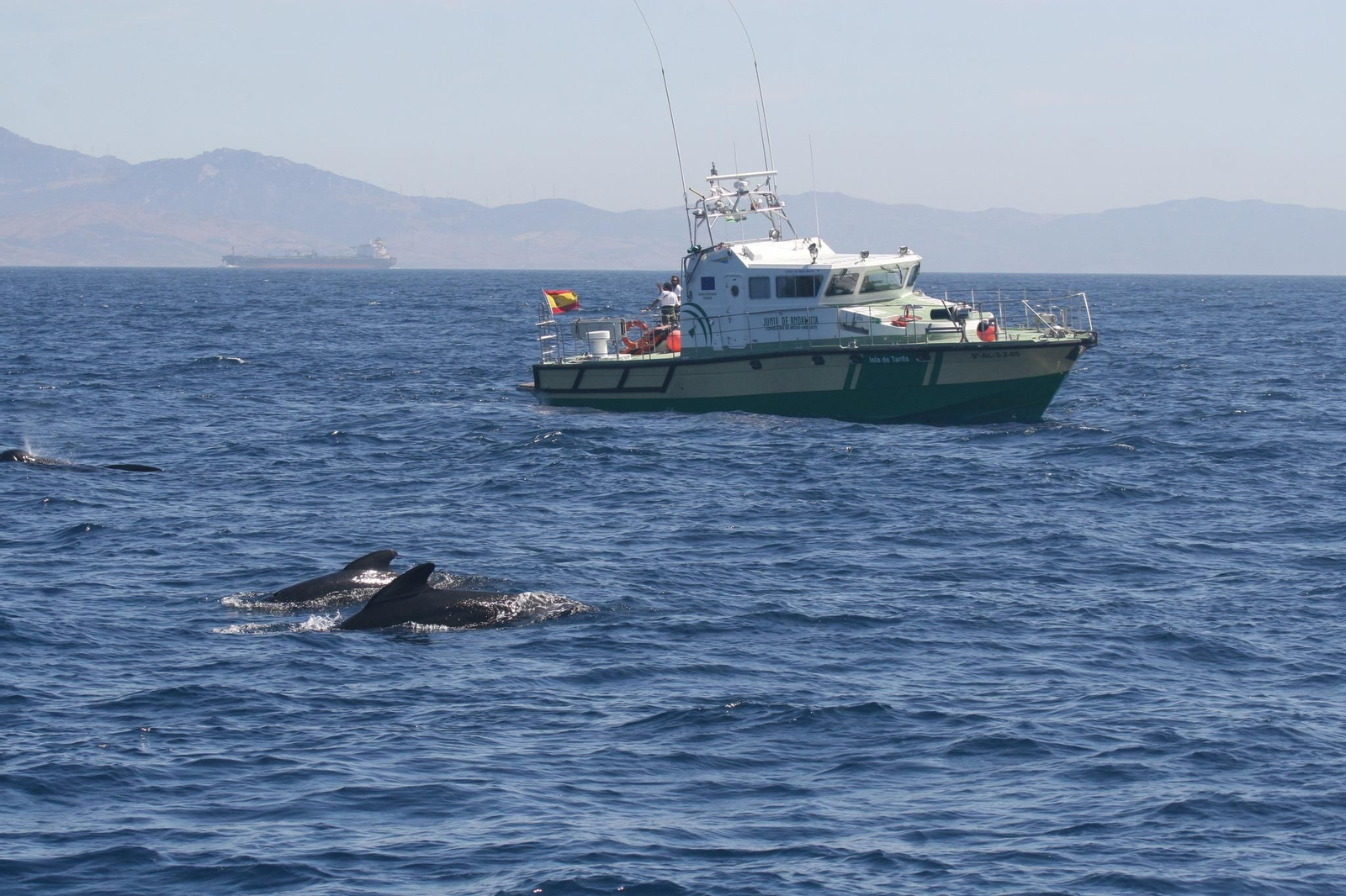 Está situado entre el LIC Sur de Almería-Seco de los Olivos y el espacio marino de Alborán