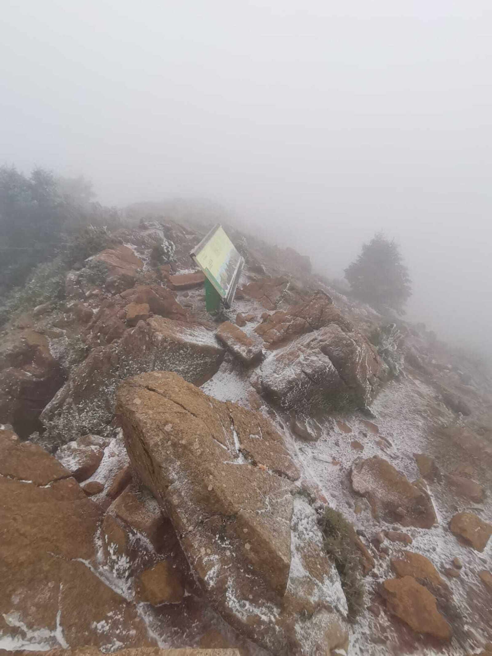 Nieve en Sierra Bermeja, en Estepona.