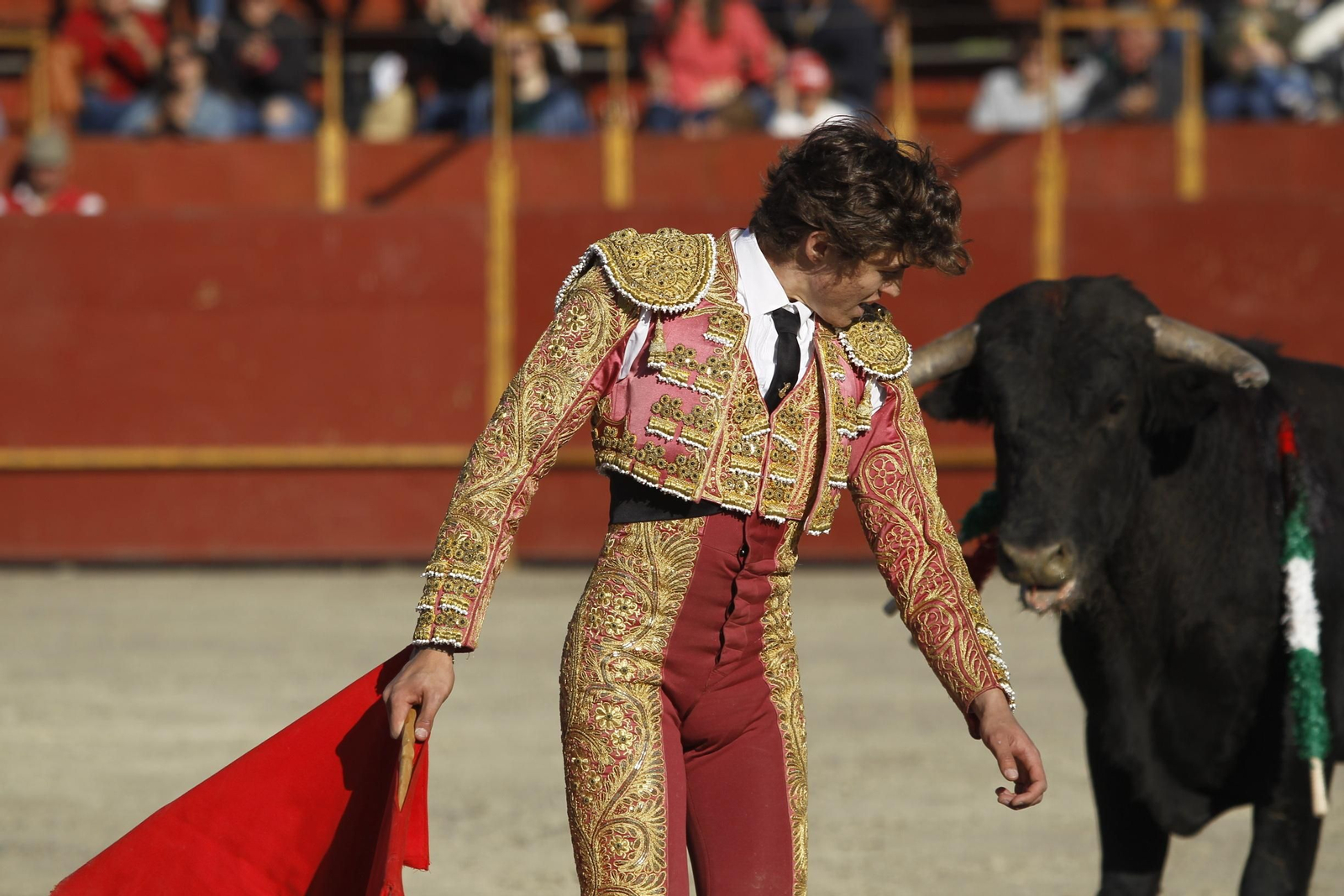 Fotogalería Novillada Fiestas de Abrucena