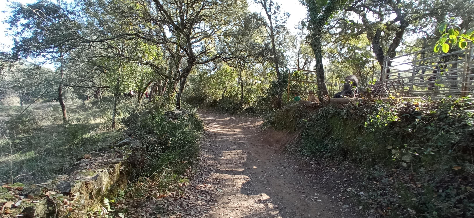 Las imágenes de la ruta de la cascada de Jollarancos y bosque de las letras