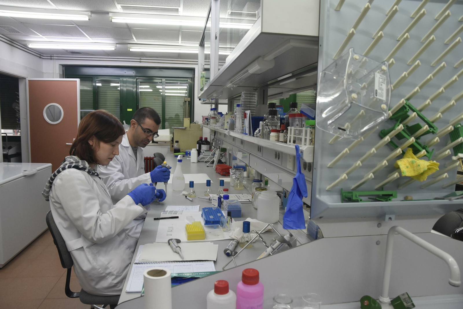 Investigadores de la UCO en un laboratorio en el Campus de Rabanales