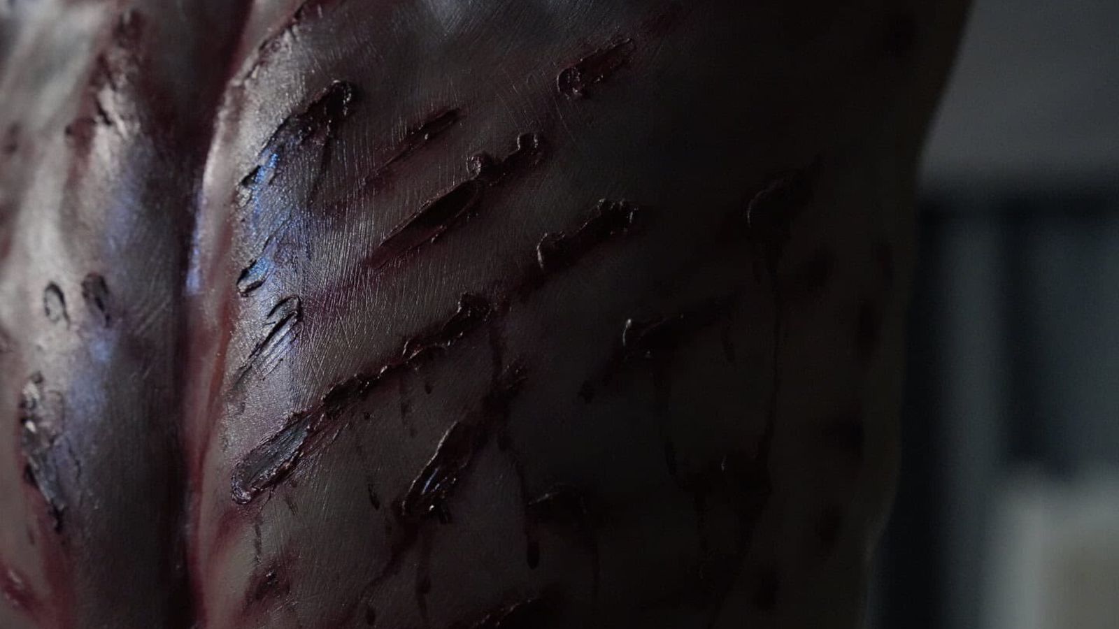 Detalle de la espalda flagelada