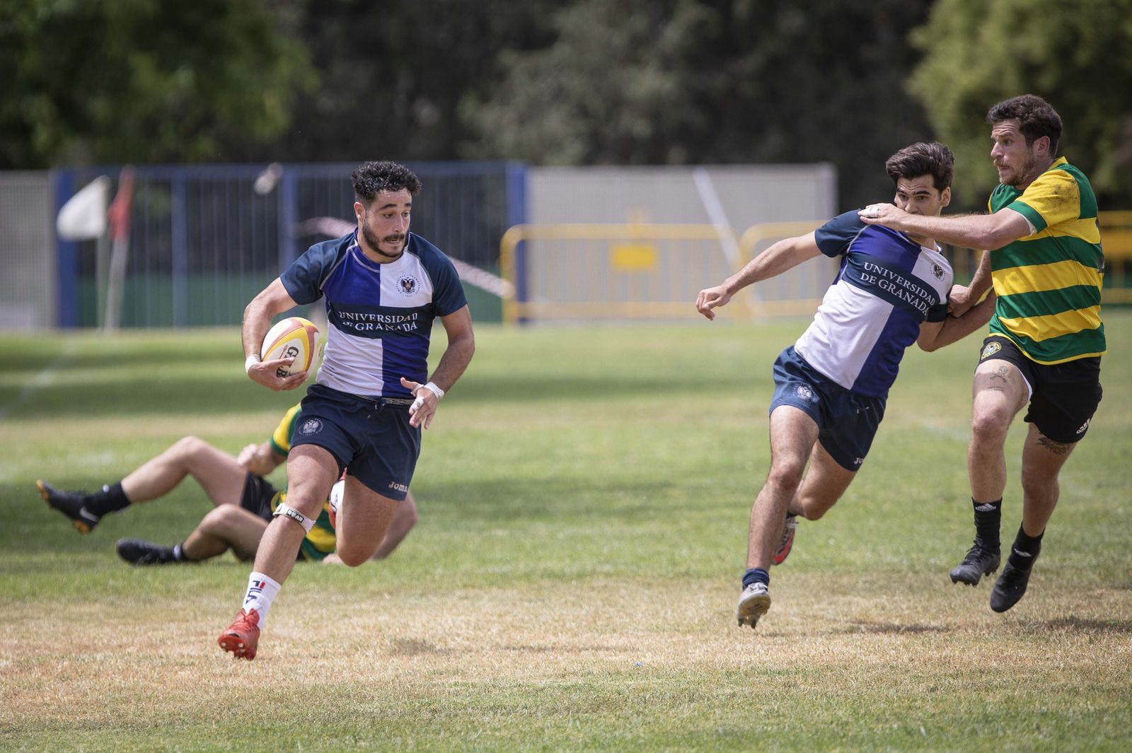 Las mejores fotos del partido del ascenso a División de Honor B de rugby entre Universidad de Granada y Portuense