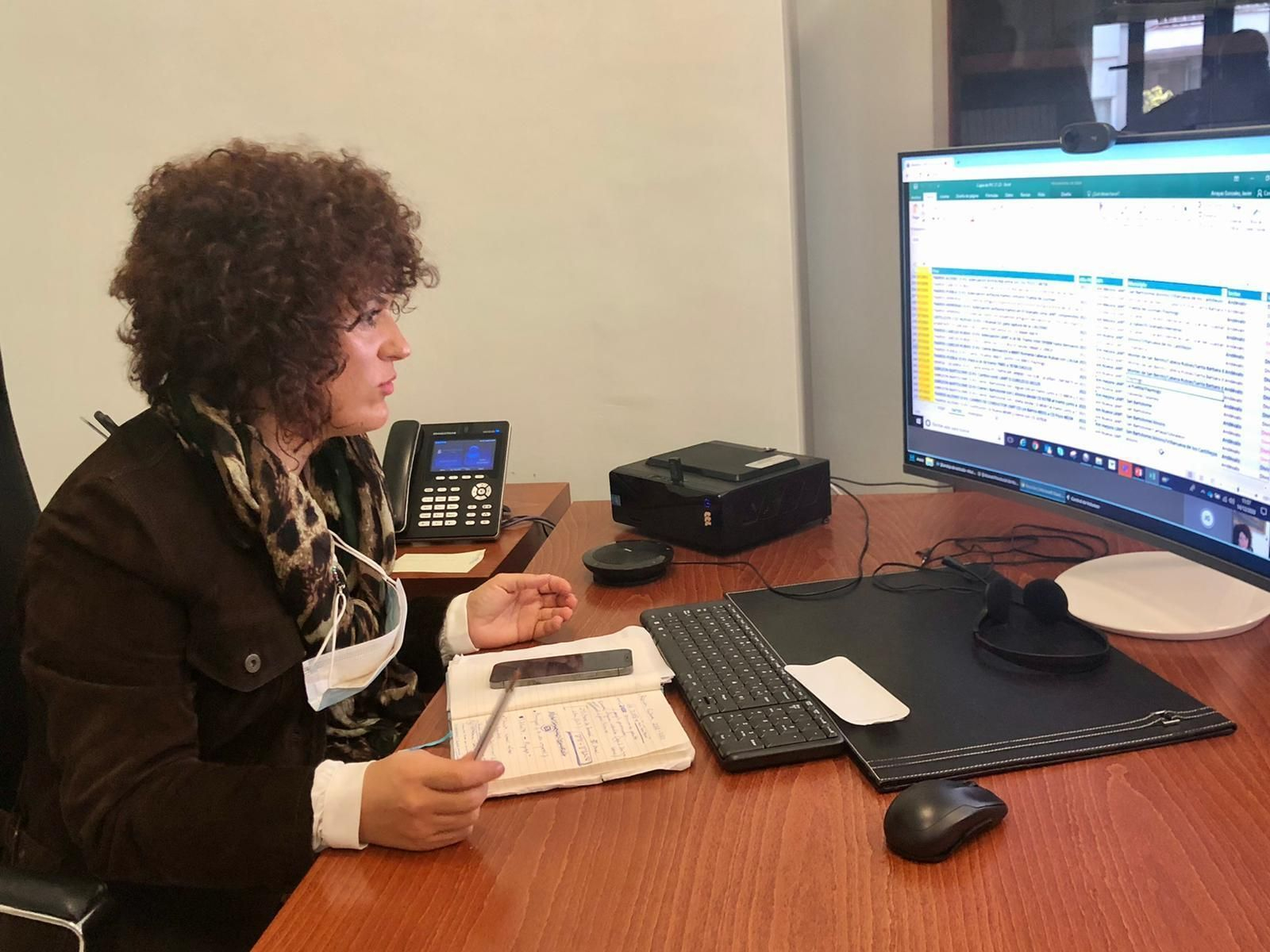 María Eugenia Limón analiza el plan de inversiones previsto por Endesa durante la reunión.
