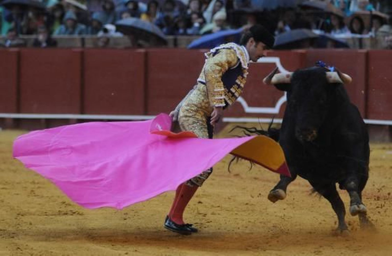 Foto: Juan Carlos Vázquez