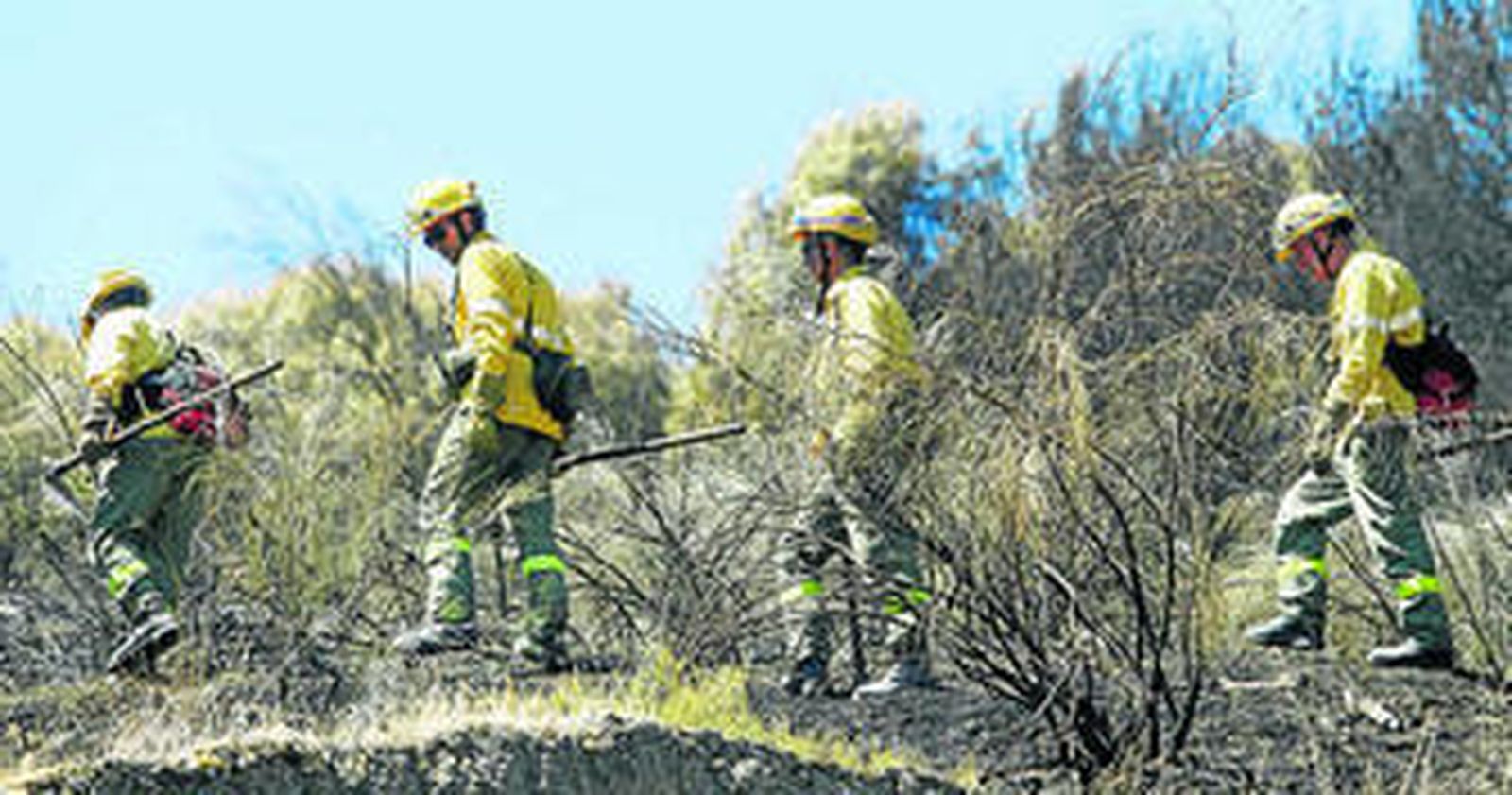 Trabajadores del Plan Infoca repasan uno de los terrenos quemados en el incendio del pasado agosto en Cenes.