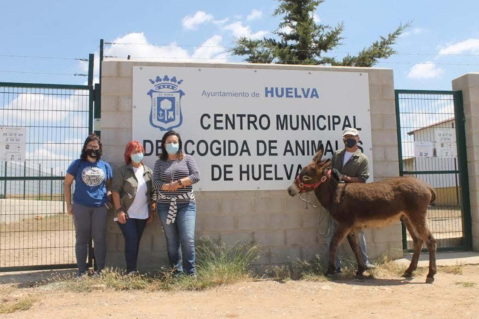El burro Galileo en el Centro Municipal de Acogida de Animales