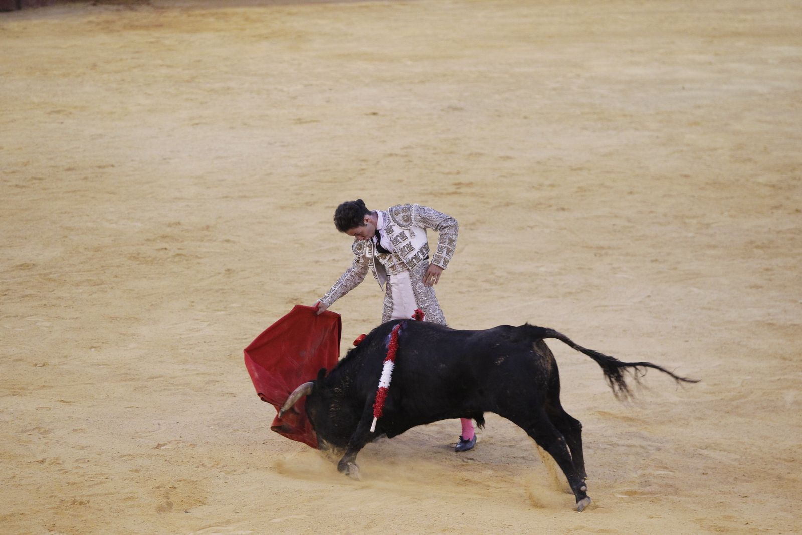 Fotogalería novillada Escuela Taurina de Almería. Feria de Almería 2019
