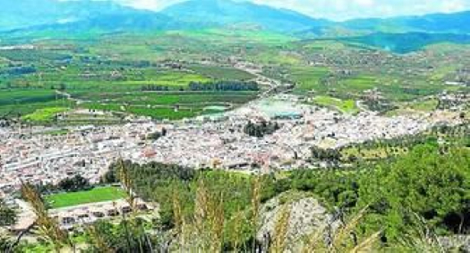Vista de parte del término municipal de Pizarra.
