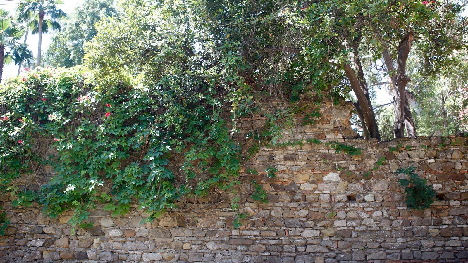 Pared de la mezquita de Aljama