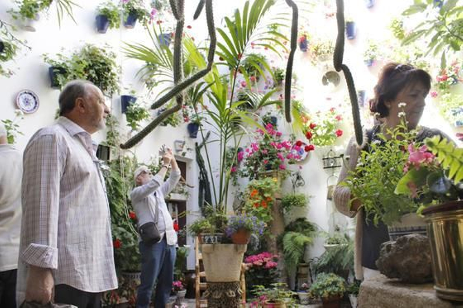 Foto: Alejandro Gallegos