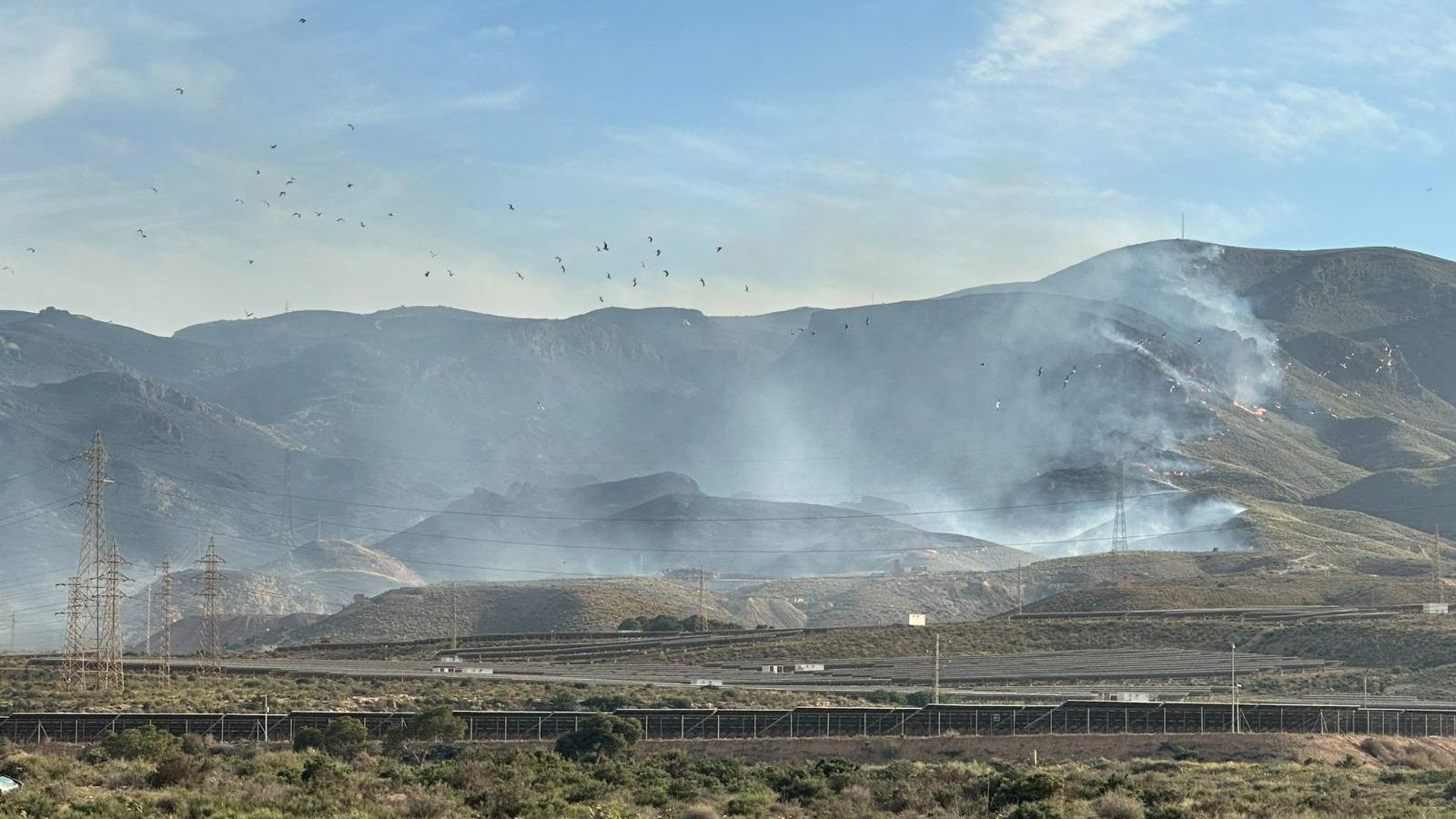 Imágenes del incendio forestal que mantiene en vilo a vecinos de Gádor y Benahadux