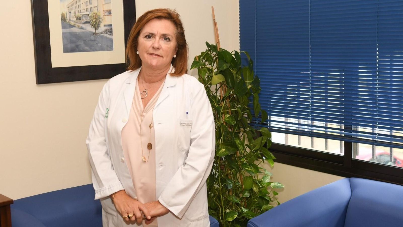 La gerente del Área Sanitaria Norte, Ana Leal.