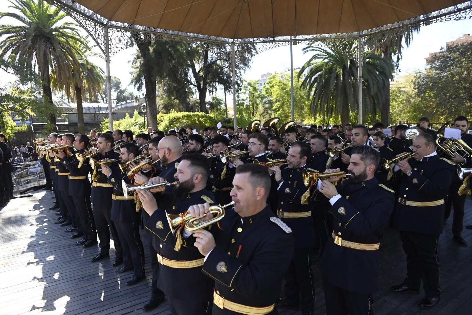 El primer certamen de bandas de Córdoba por Santa Cecilia, en imágenes