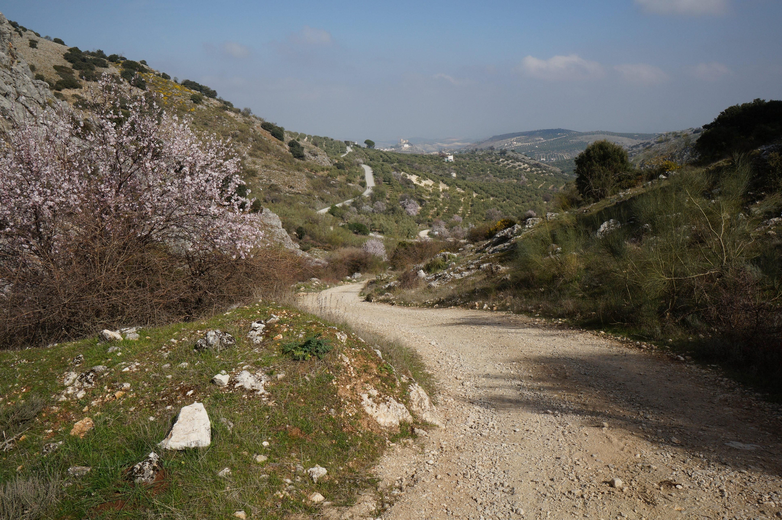 Panorama del Parque Natural de la Subbética.