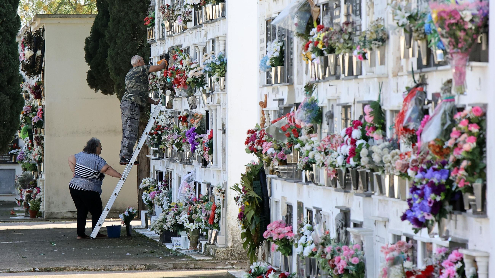 Imágenes del cementerio de Jerez en el Día de los Fieles Difuntos