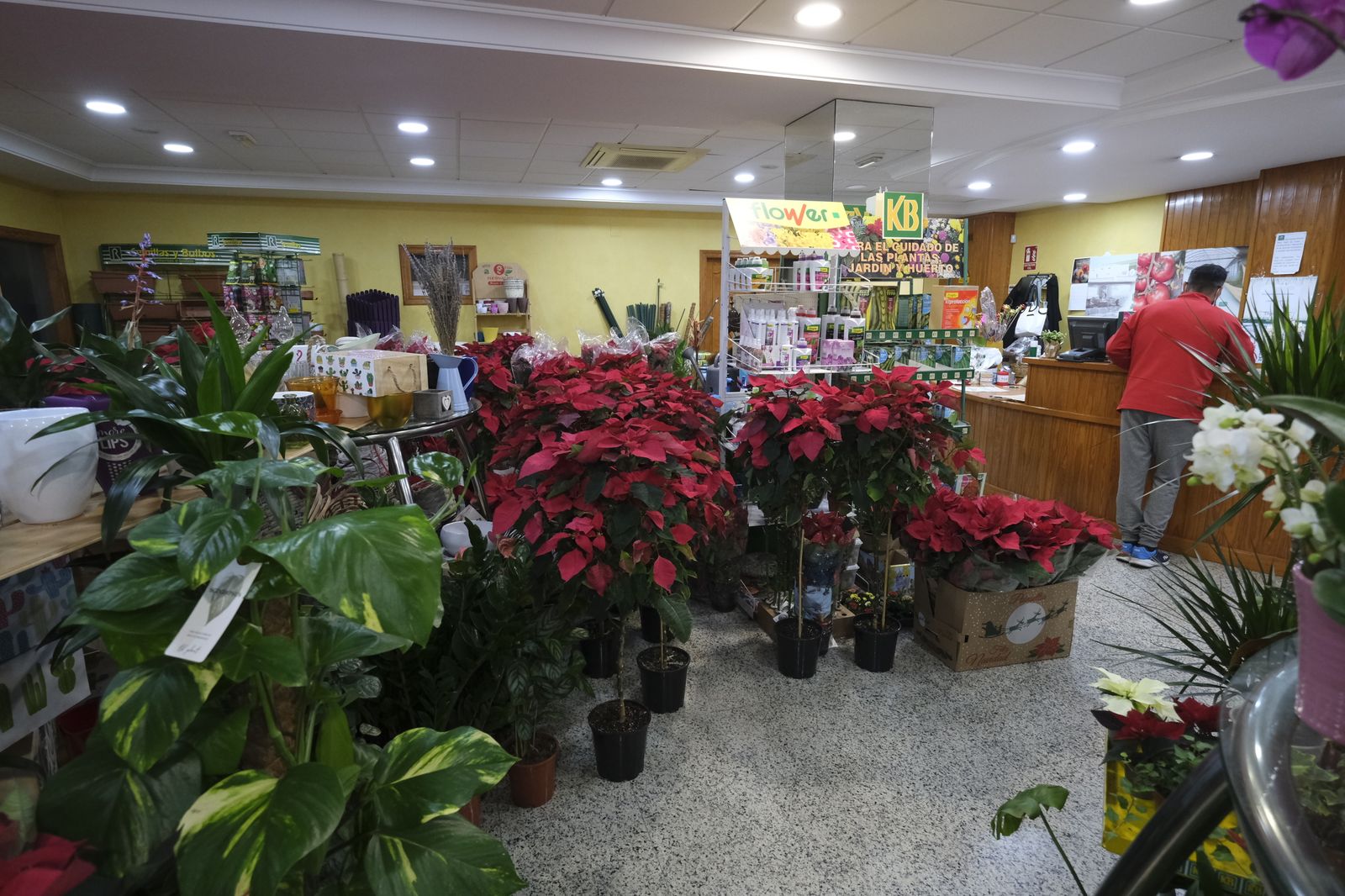 Fotogalería Floristería Suministros Tripiana