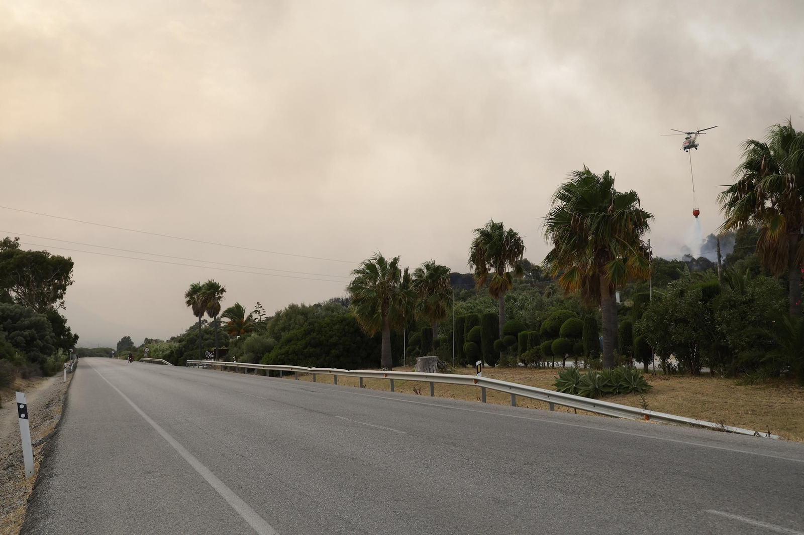 Las fotos del incendio forestal entre la Torre y Valdevaqueros en Tarifa