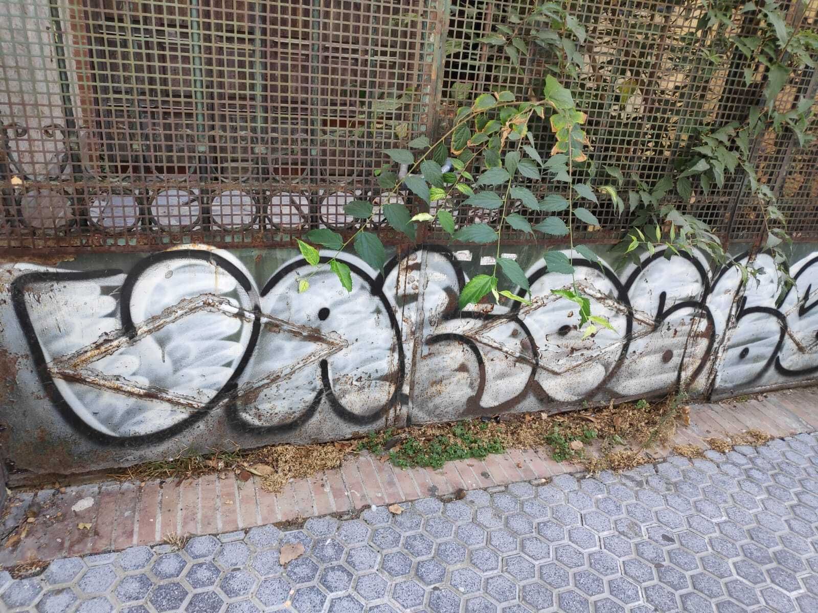 El PP denuncia la "degradación de un casco histórico, inundado de pintadas"