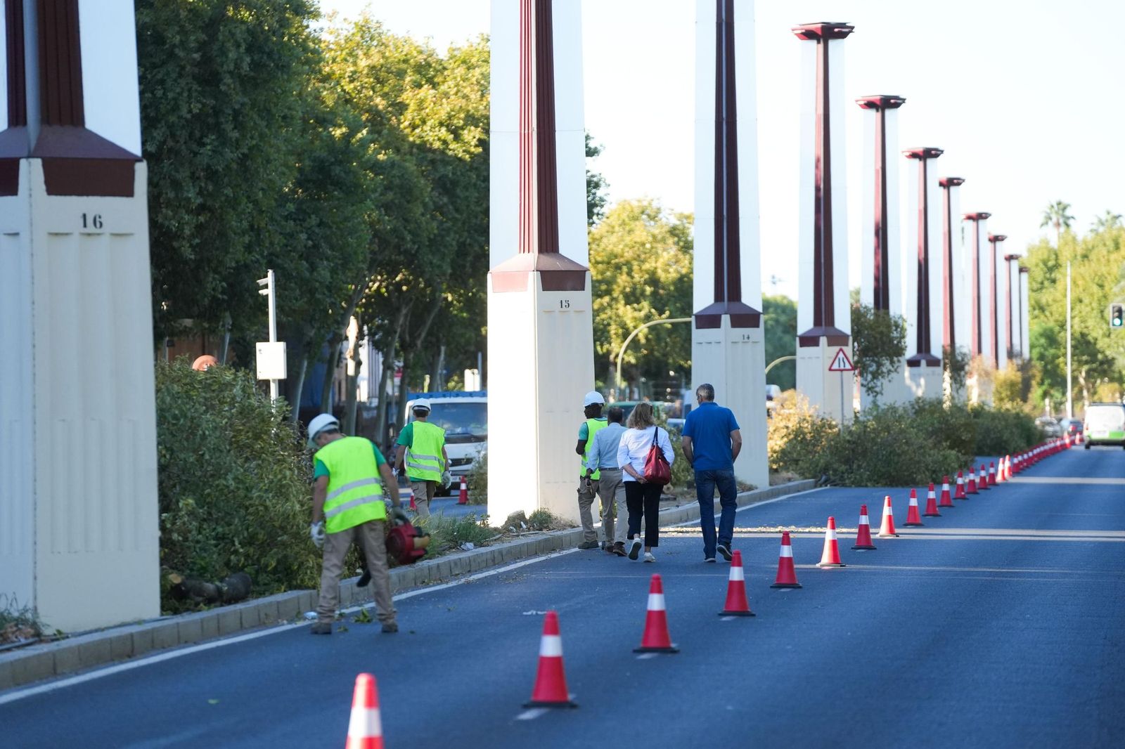 Los trabajos de rejardinamiento llevados a cabo en la calle Torneo.