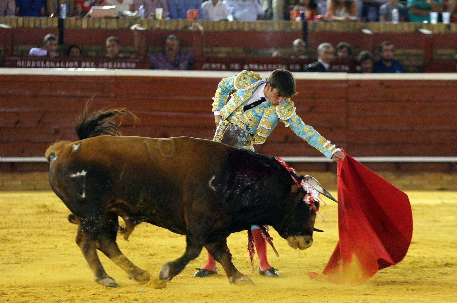 Imágenes de la Novillada de Rafael Serna, Emilio Silvera y Rodrigo Molina.