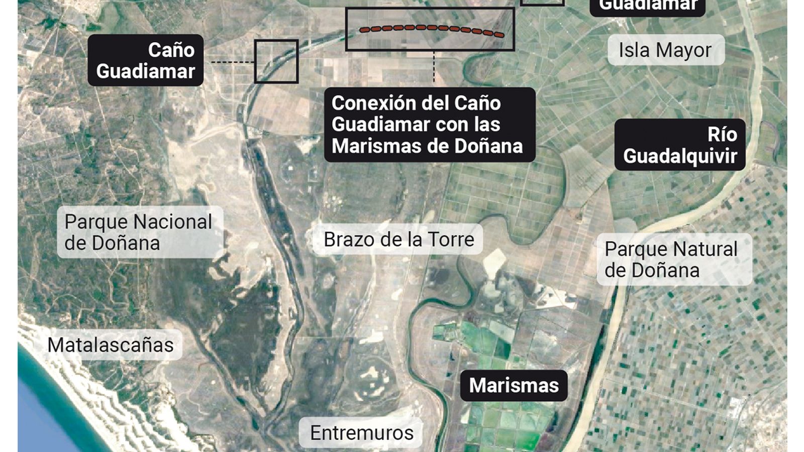 Detalle de la conexión