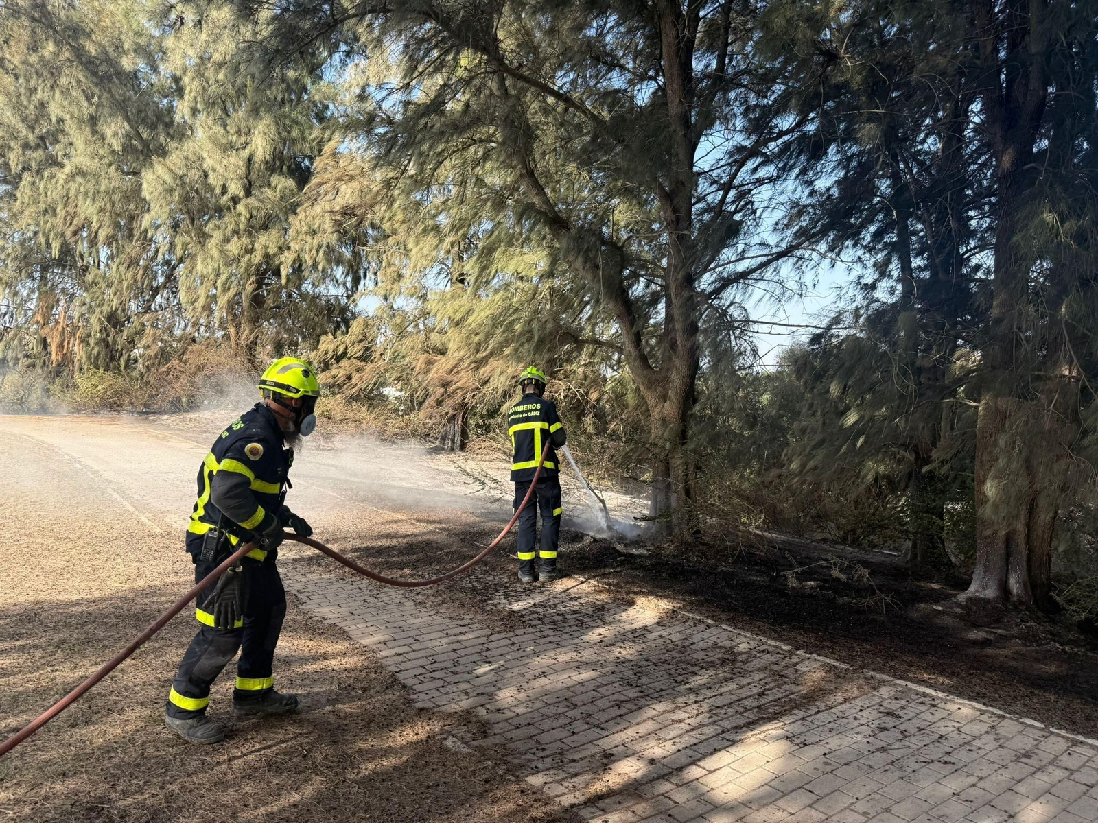 Bomberos actúan en una de las zonas afectadas por el incendio en Montecastillo.