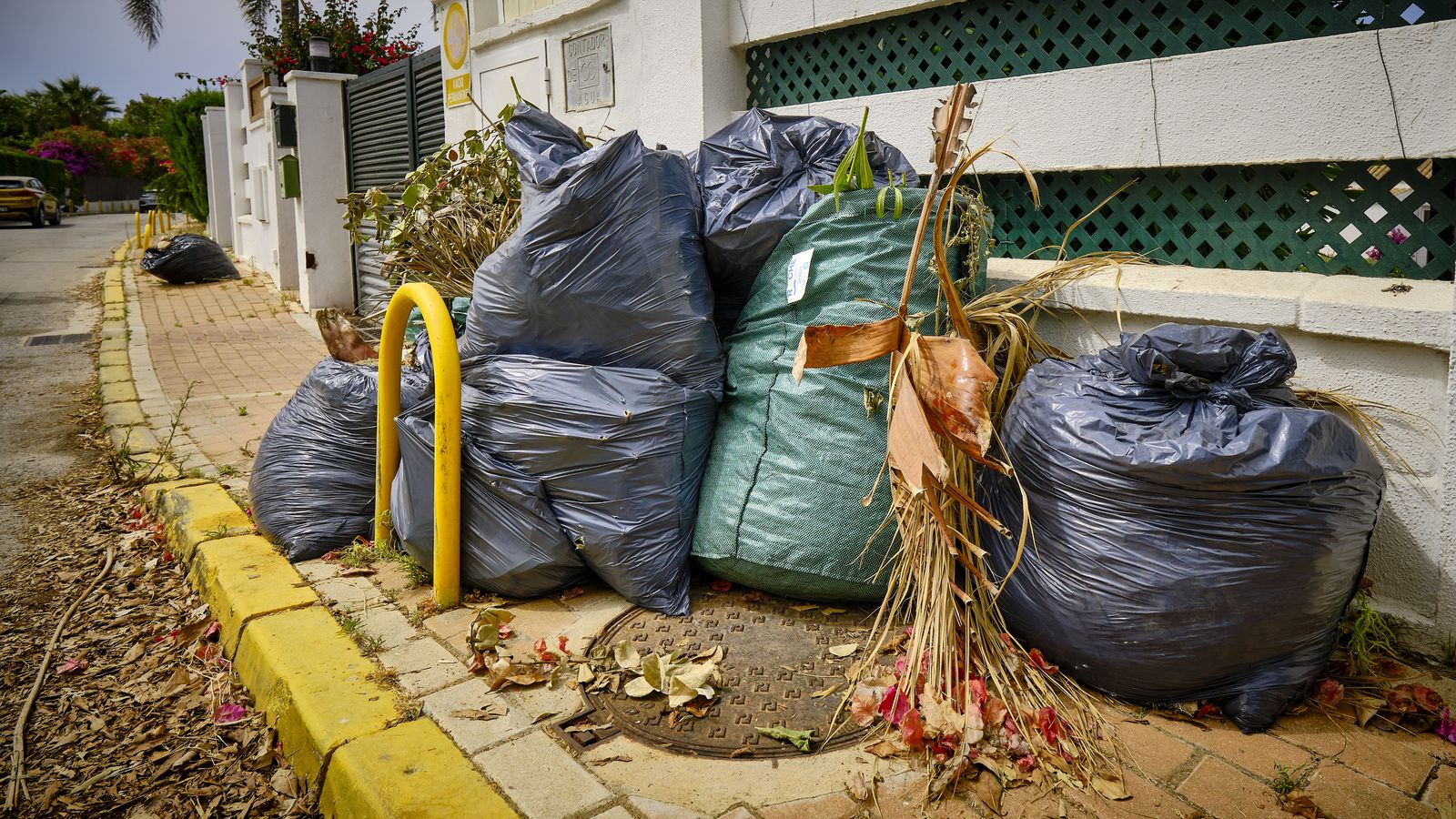 Bolsas de basura y restos de poda, acumuladas en una de las calles de la urbanización.