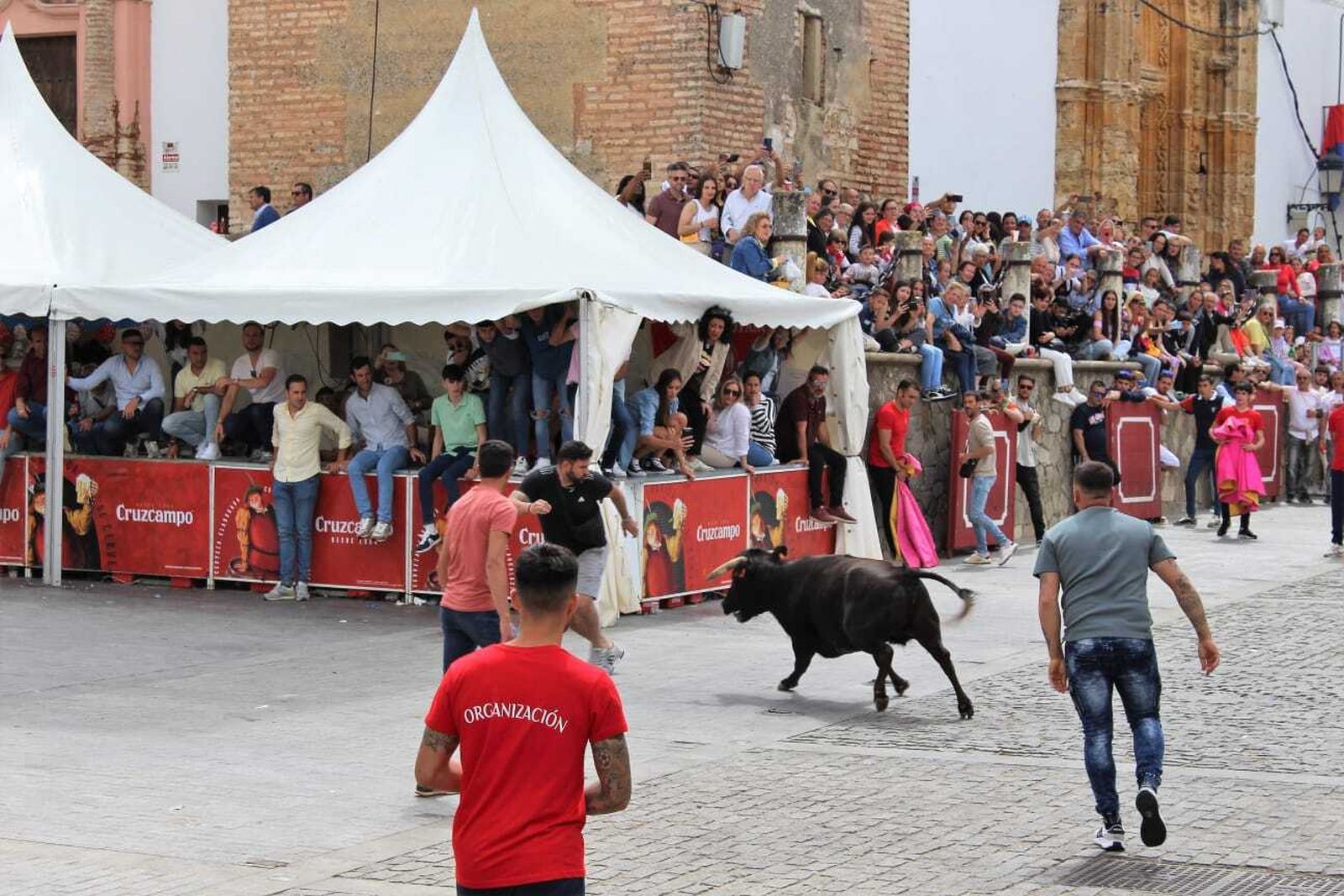 Festividad de San Jorge, patrón de Alcalá de los Gazules