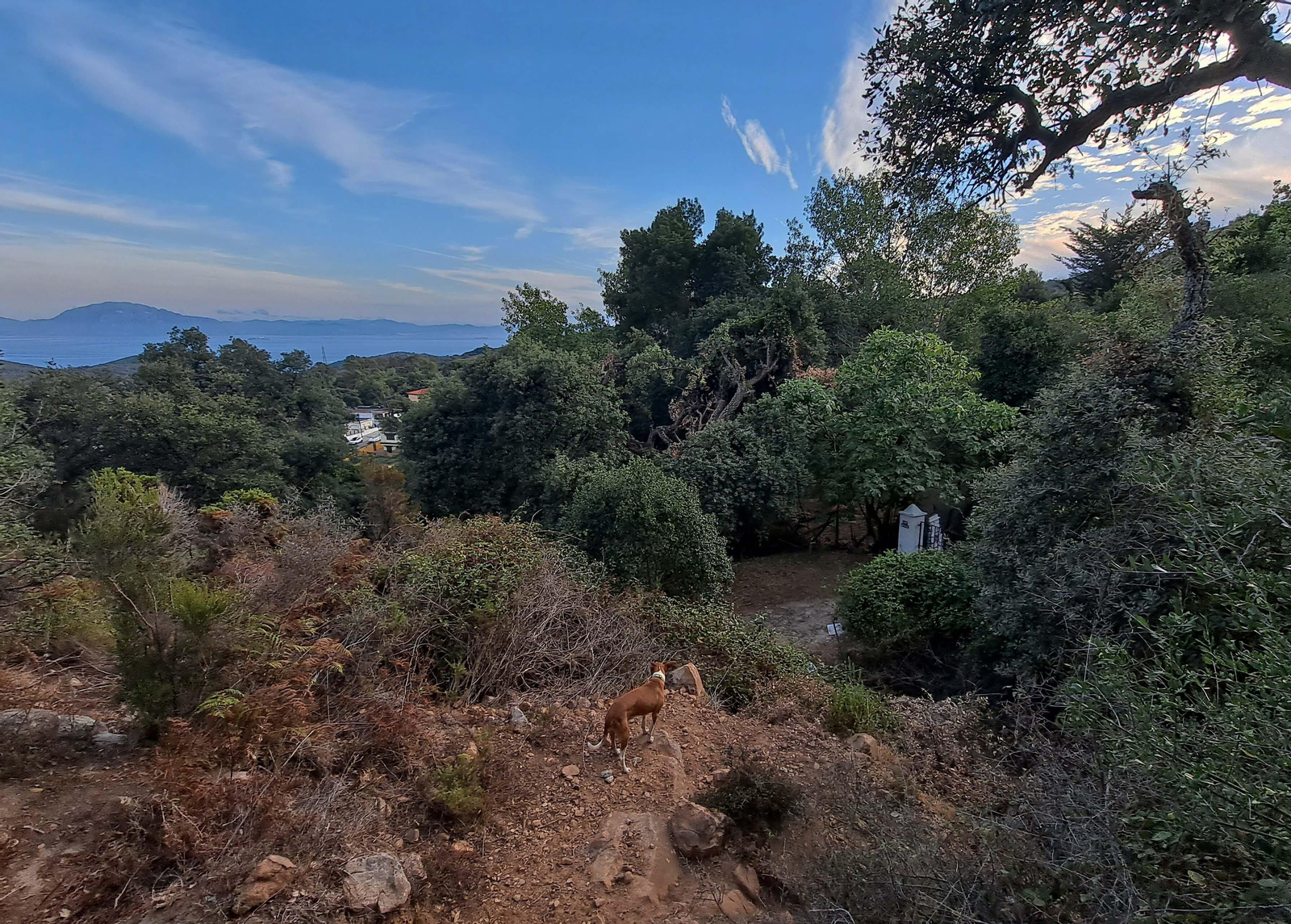 Fotos del sendero del Chorro de Pelayo en Algeciras