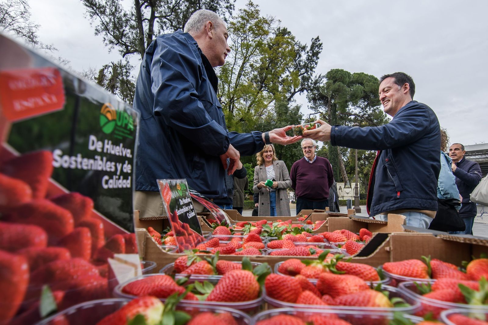 UPA reparte fresas de Huelva en Sevilla.