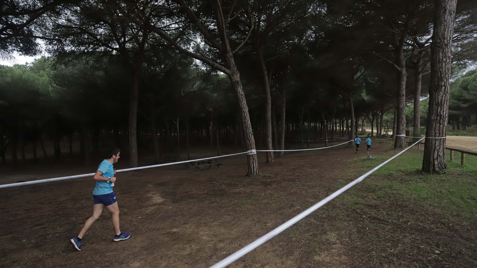 Fotos del III Cross Pinar del Rey en San Roque