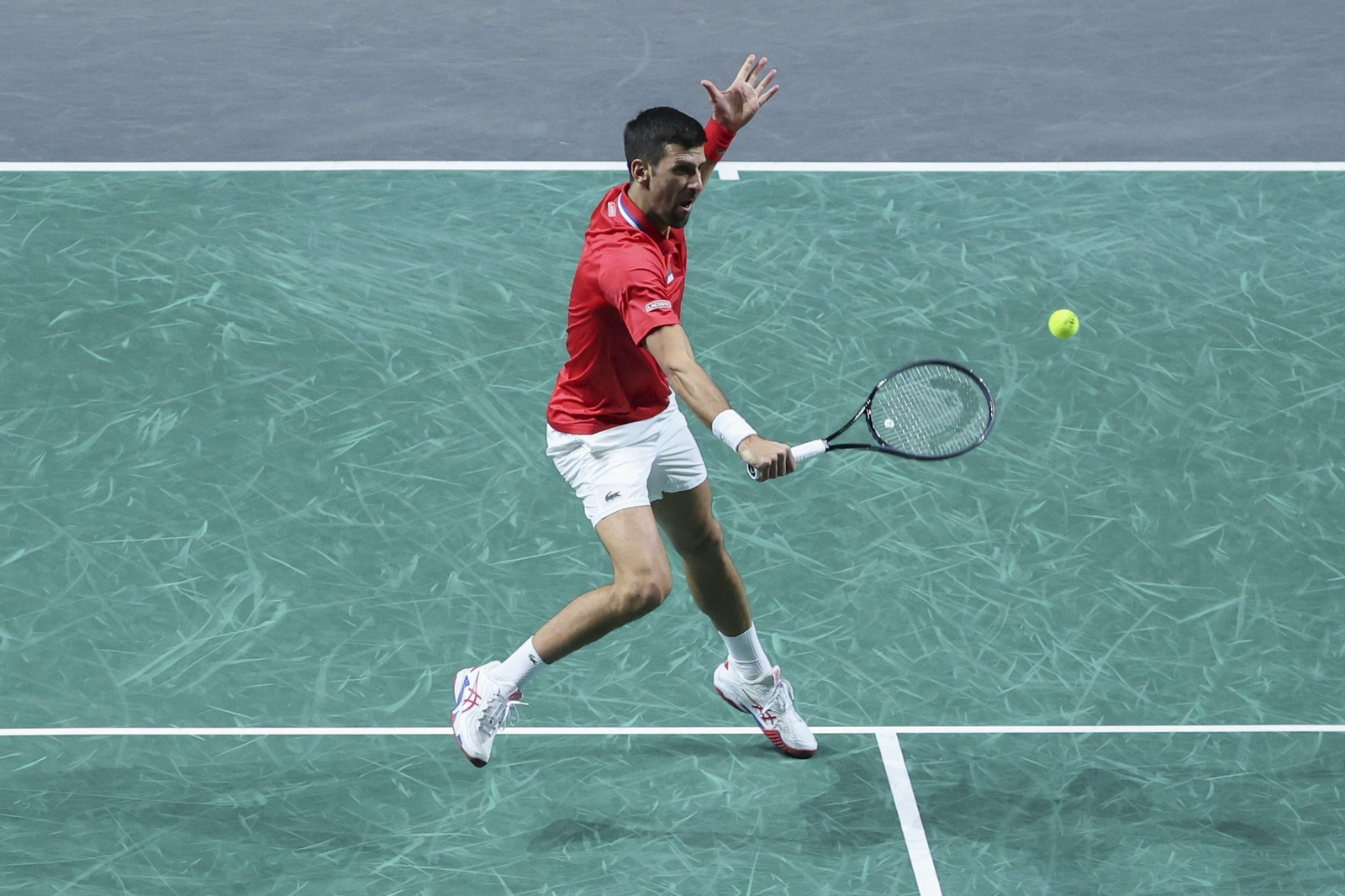 Copa Davis en Málaga: Sinner - Djokovic, en fotos