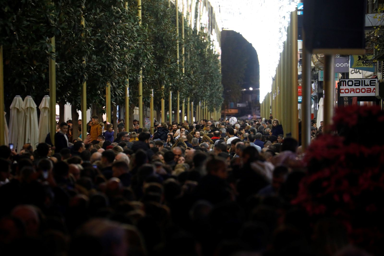 Las calles de Córdoba, repletas en el puente de diciembre, en imágenes