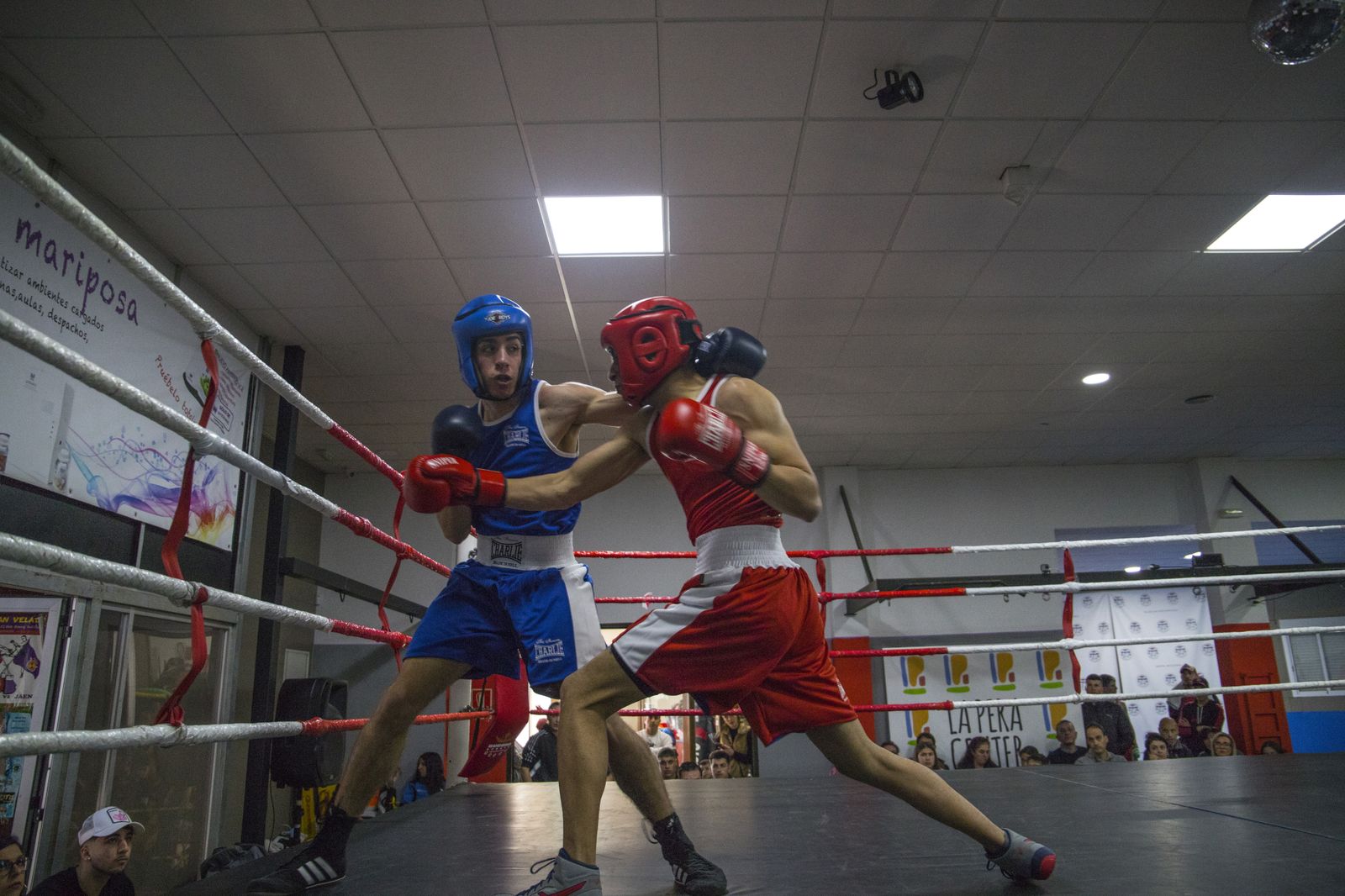 La cantera del boxeo granadino se luce en Armilla
