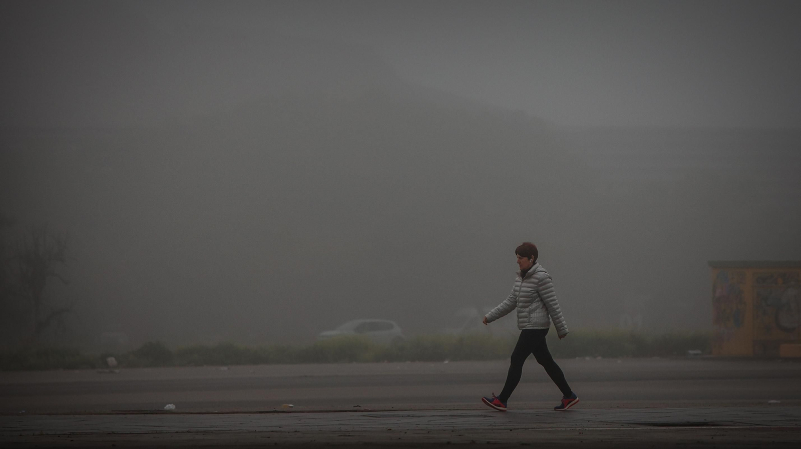 Densa niebla en Jerez