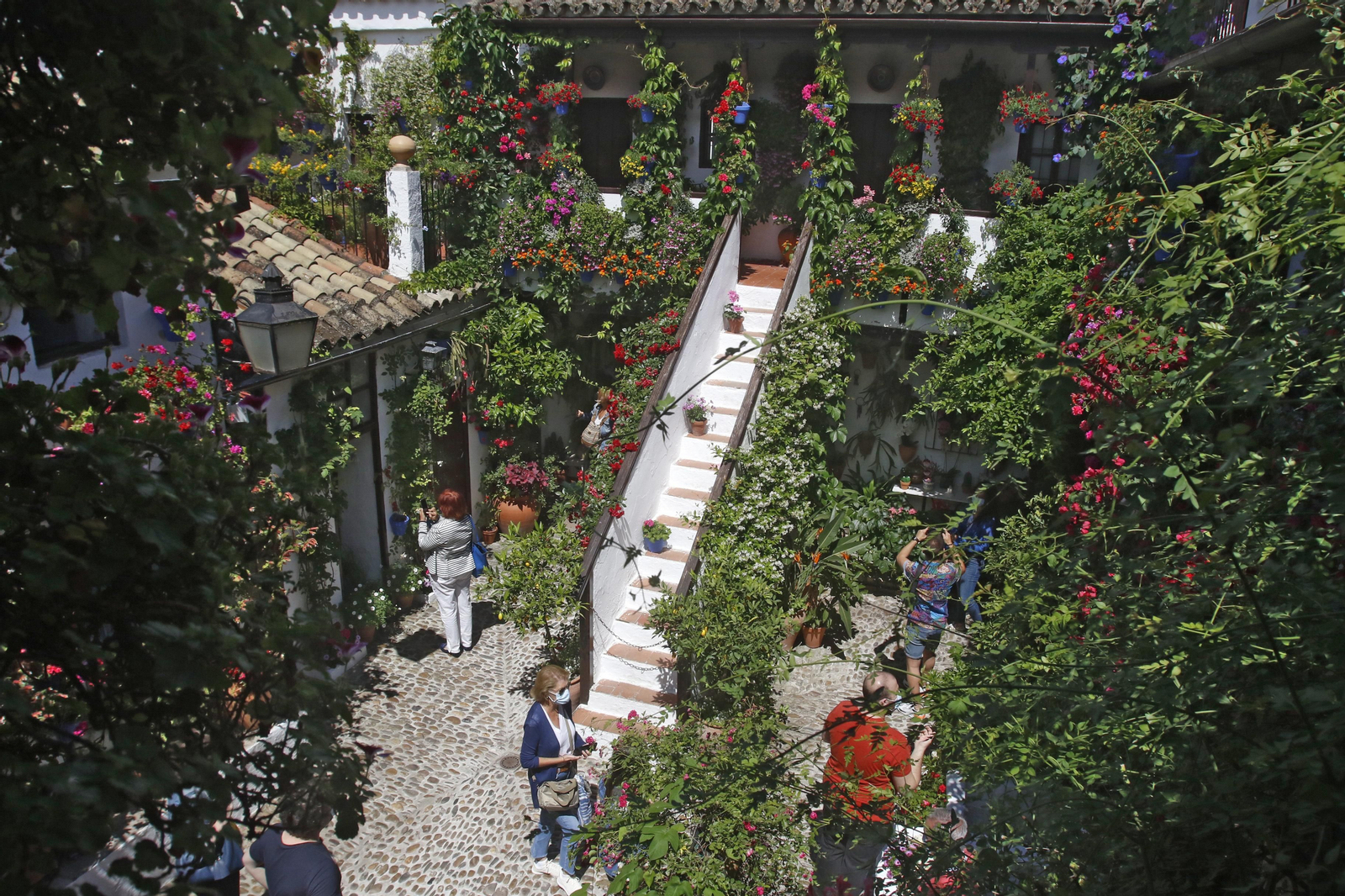 Ruta Alcázar Viejo de los Patios de Córdoba, en imágenes
