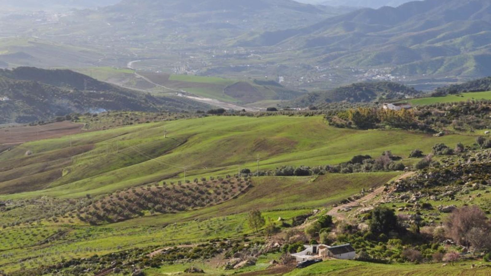 La sierra del Valle de Abdalajis, la sierra de Huma, el Valle del Guadalhorce y el hacho de Álora.
