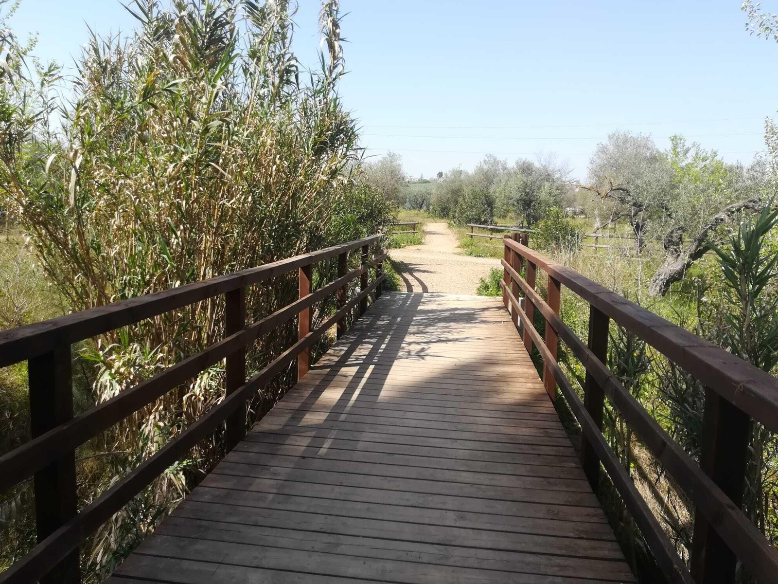 La ruta del Río Pudio por Espartinas, en imágenes