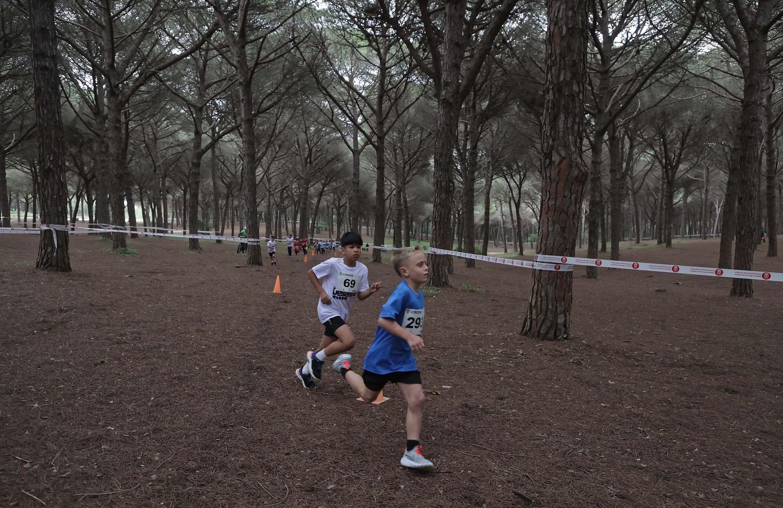 Búscate en el V Cross Pinar del Rey en San Roque