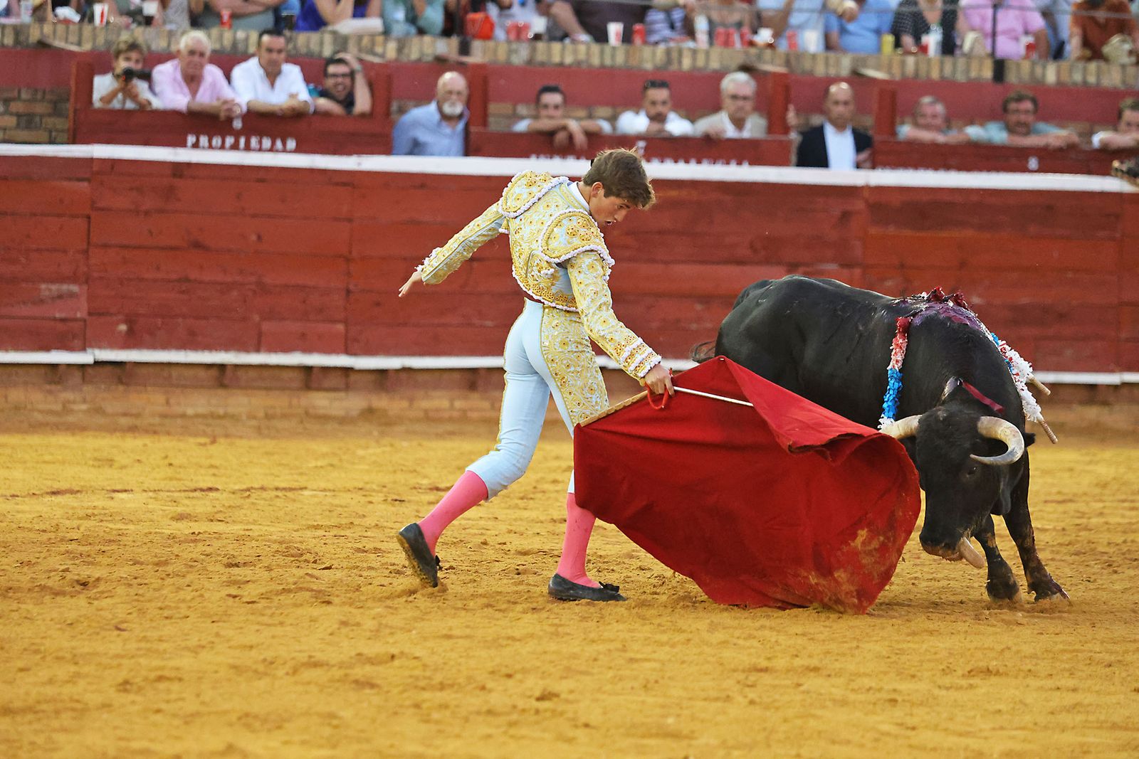 Toros La Merced 2024 Novillada con picadores(