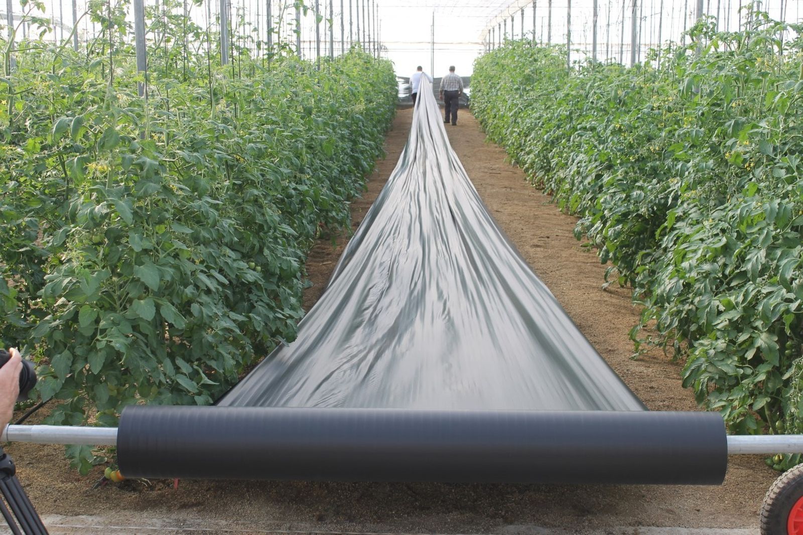 Pruebas Reinwaste en Almería