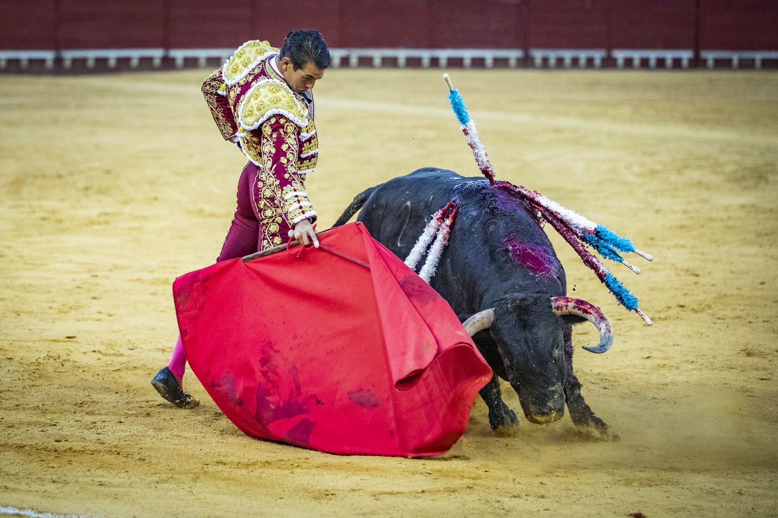 Daniel Crespo, Manzanares y Juan Ortega, en la plaza de toros de El Puerto