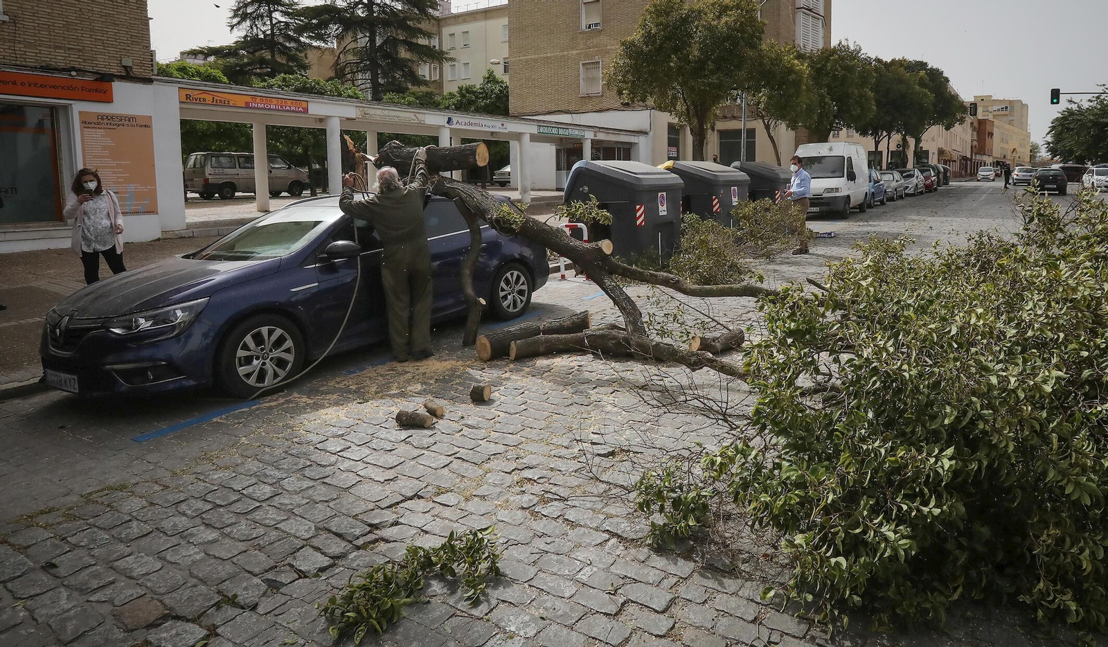 Imágenes de los destrozos ocasionados por el fuerte temporal
