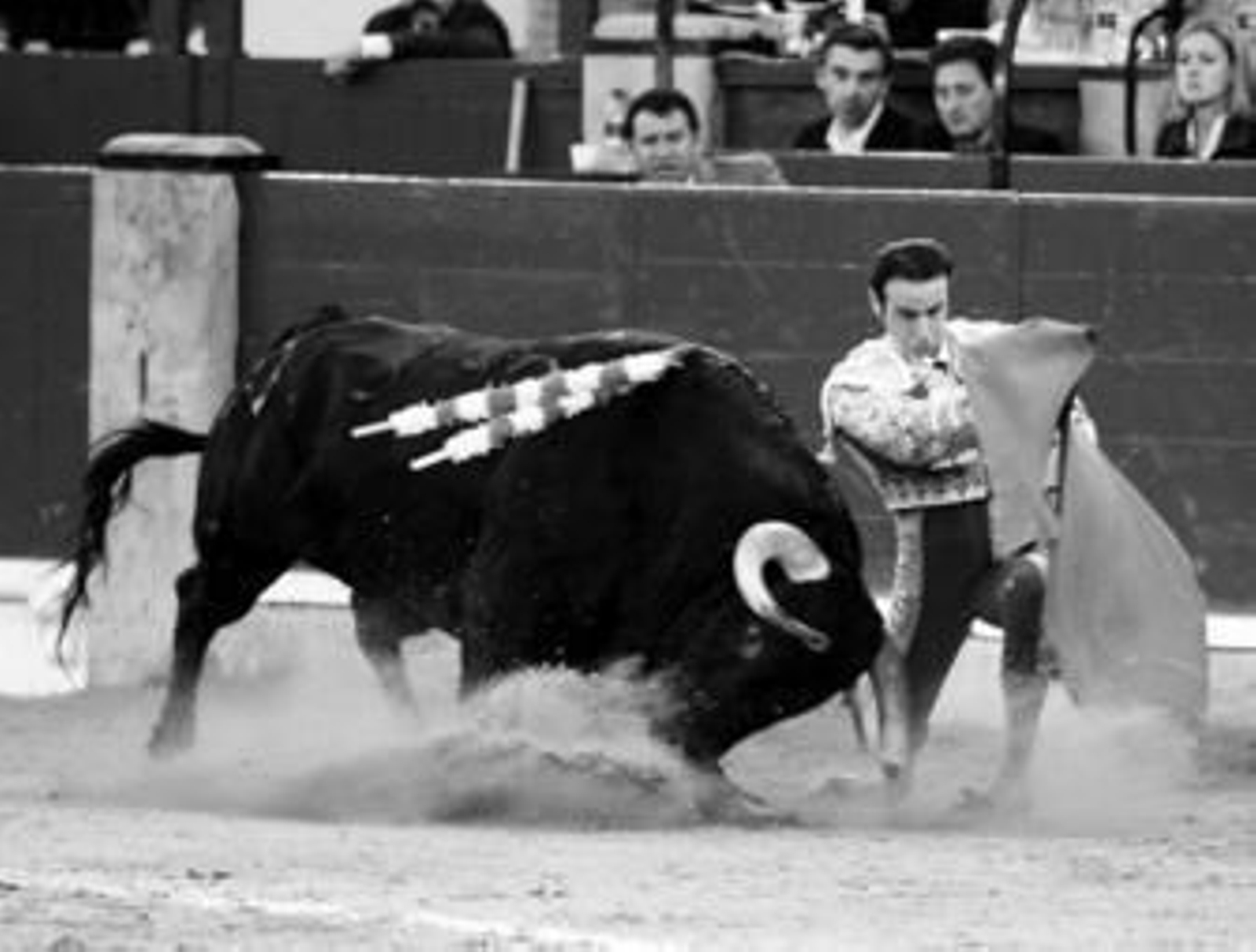 Enrique Ponce, en un muletazo de rodillas al toro que desorejó. Enrique Ponce, en un muletazo de rodillas al toro que desorejó.