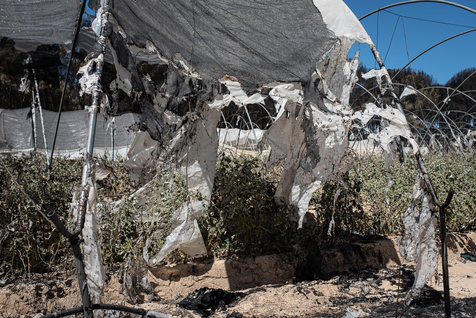 El rastro del incendio de Almonte en imágenes