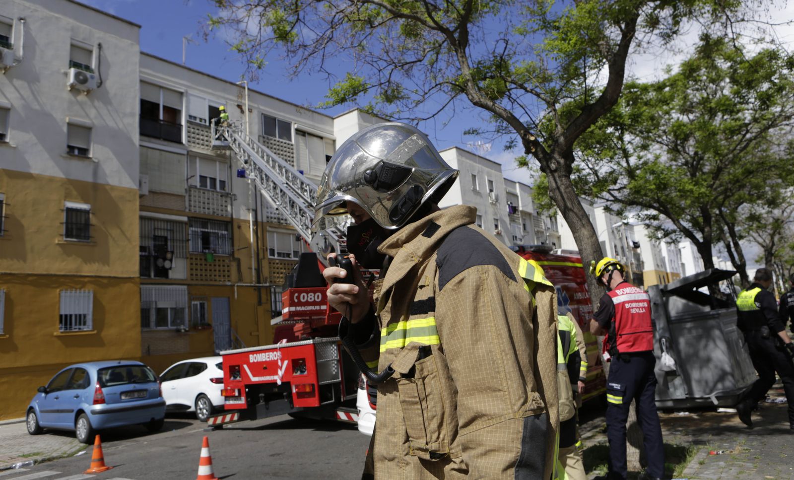 Imágenes del dispositivo policial para encontrar al autor del atropello