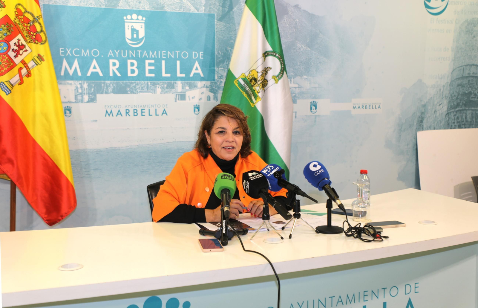 La directora general de Turismo, Laura de Arce.