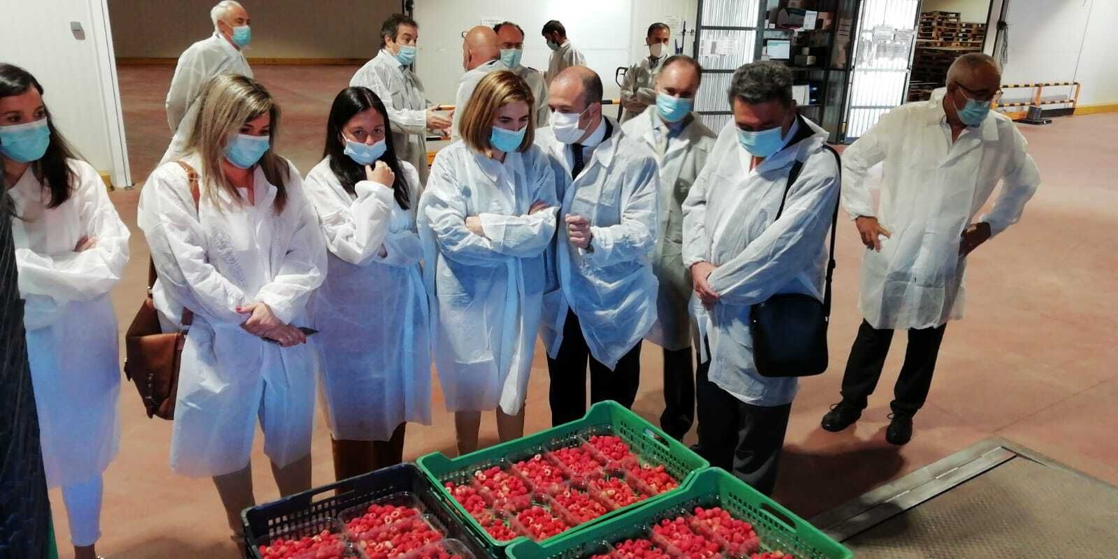 Visita de la consejera de Empleo a la cooperativa Costa de Huelva.