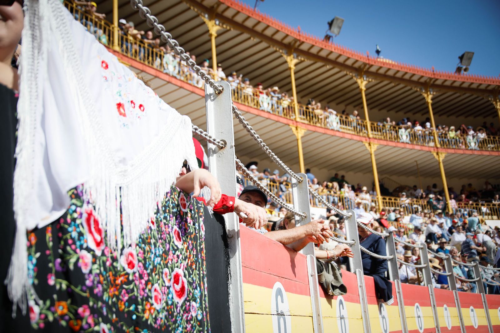 Imágenes del festival mixto lucha contra el cáncer